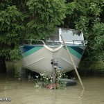 Hochwasser 2009