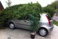 Öko-Tankstelle